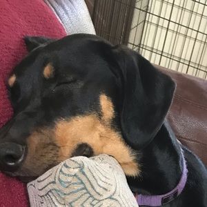 Meet your Posher, Leslie